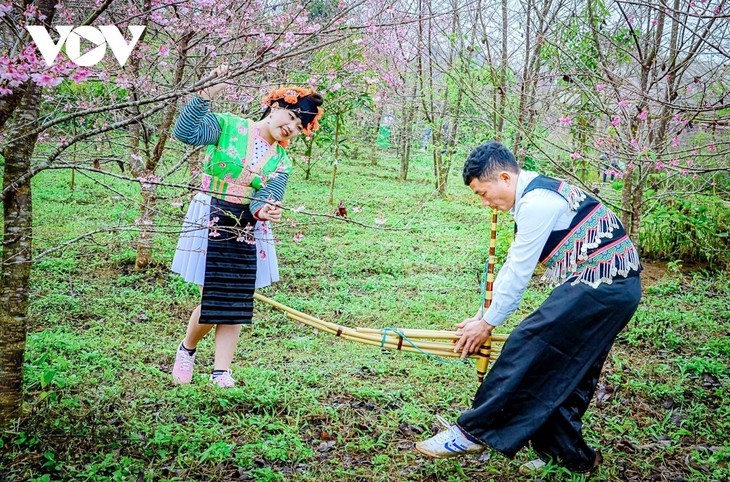 ดอกไม้วสันต์ในเขตเขาสูงตะวันตกเฉียงเหนือ - ảnh 5