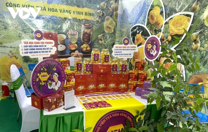 หลายจังหวัดให้ความสำคัญต่อการประกอบธุรกิจสตาร์ทอัพเชิงสร้างสรรค์ - ảnh 1