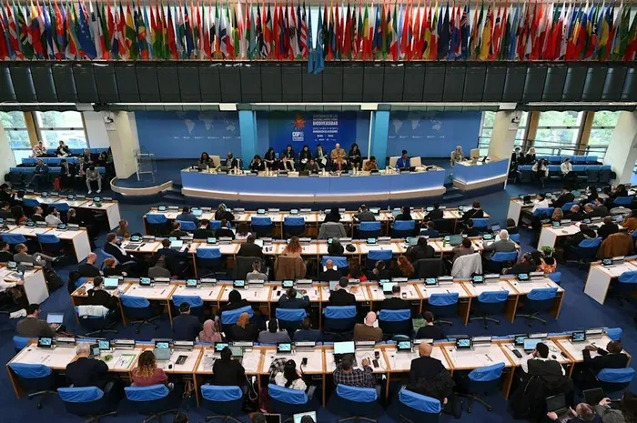 COP 16 บรรลุข้อตกลงด้านการเงินครั้งประวัติศาสตร์เกี่ยวกับความหลากหลายทางชีวภาพ - ảnh 1