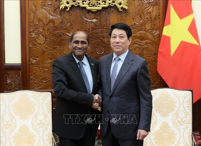 ประธานประเทศ เลืองเกื่อง ให้การต้อนรับเอกอัครราชทูตสิงคโปร์และอินโดนีเซีย  - ảnh 1