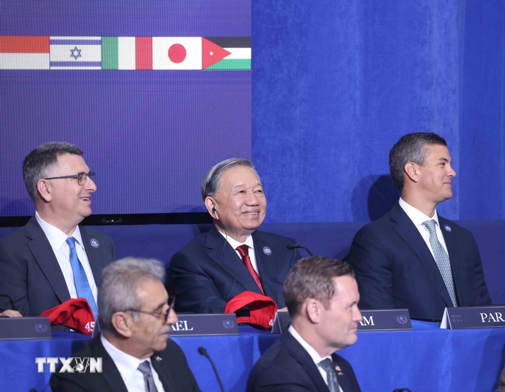 เลขาธิการใหญ่พรรค โตเลิม เข้าร่วมการประชุมสภาสันติภาพเกี่ยวกับฉนวนกาซา - ảnh 1