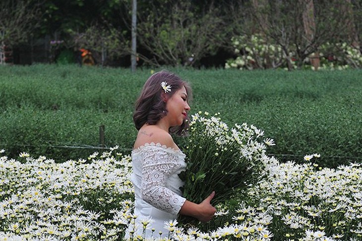 Young people flock to witness ox-eye daisy gardens in Hanoi - ảnh 8