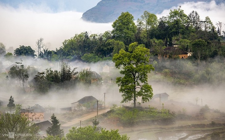 Y Ty cloud hunting season in Lao Cai province - ảnh 5