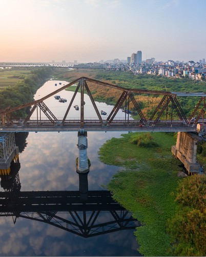 Discovering stunning white grass flowers around Long Bien bridge - ảnh 3