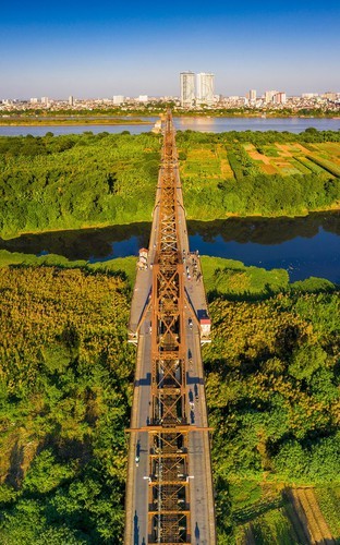 Discovering stunning white grass flowers around Long Bien bridge - ảnh 4