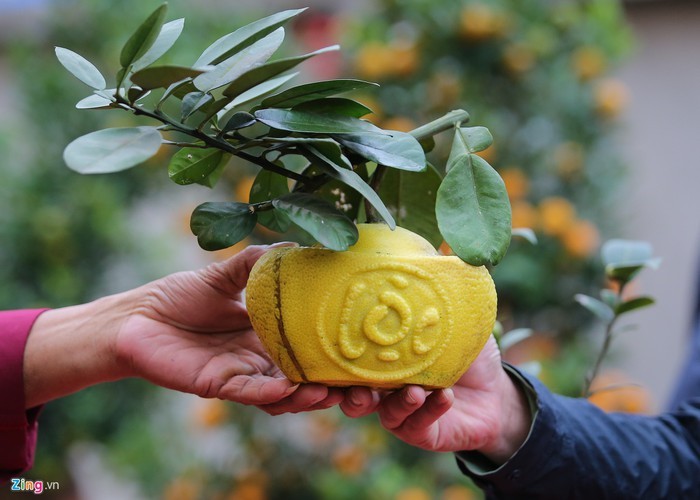 Craftsman prepare unique ornamental trees ahead of Year of Rat - ảnh 8