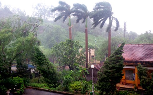 Quang Ninh thoroughly prepares to cope with typhoon Rammasun - ảnh 2