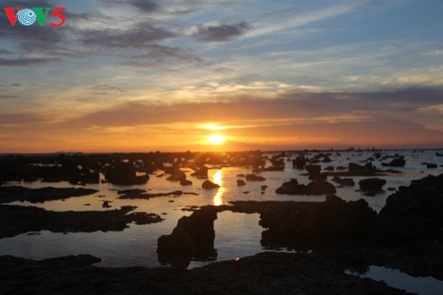 Tour of Ly Son island - ảnh 1