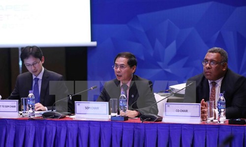 Free Trade Agreements create momentum for APEC economies - ảnh 1