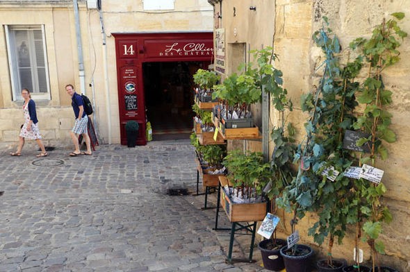 Saint-Emilion, heaven of French wine - ảnh 1