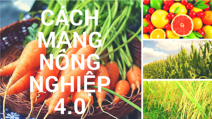 Vietnam boosts Agriculture 4.0 - ảnh 1