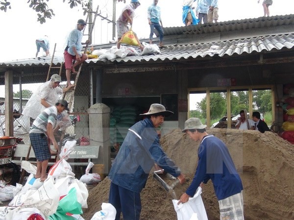 Southern provinces prepare to cope with typhoon Tembin - ảnh 1