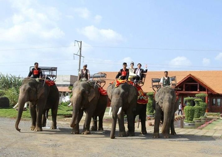 Spring in an Ede ethnic village - ảnh 2