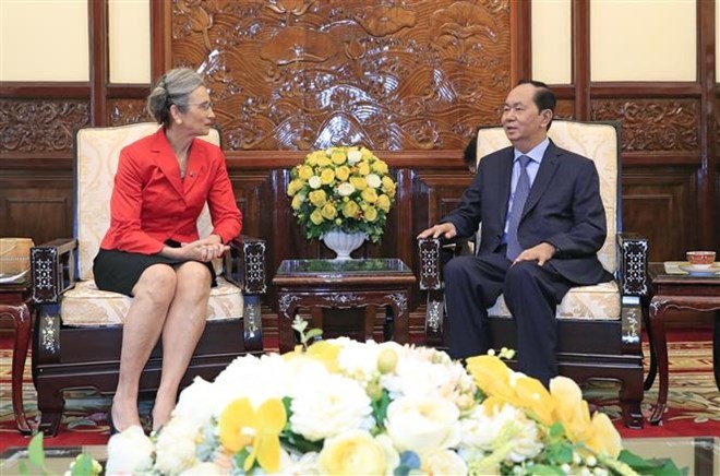 President receives Dutch Ambassadors - ảnh 1