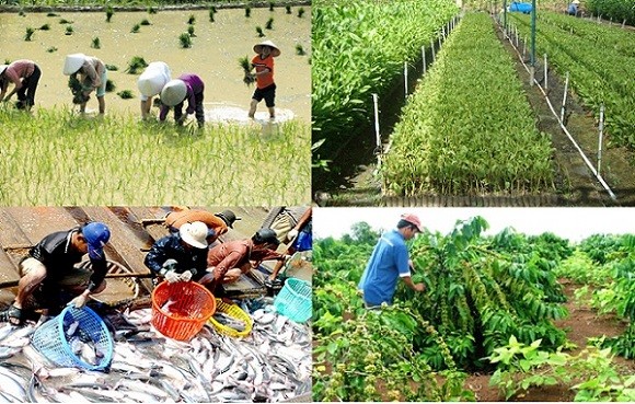 Breakthrough changes for rural economy - ảnh 1