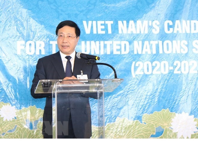 Deputy PM calls for support to Vietnam's UN Security Council member candidacy - ảnh 1