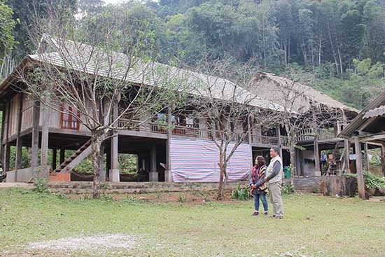 Homestay service makes Moc Chau more appealing - ảnh 1