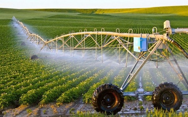 Technology application in agriculture strengthened - ảnh 1