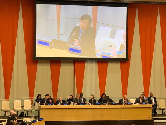 Vietnam promotes effective partnership in implementing UN peacekeeping activities - ảnh 1