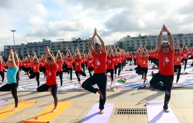  Yoga connects Vietnamese, Indian cultures - ảnh 1