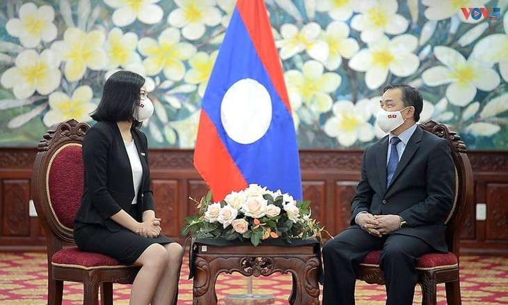 Vietnam, Laos strengthen comprehensive cooperation - ảnh 1