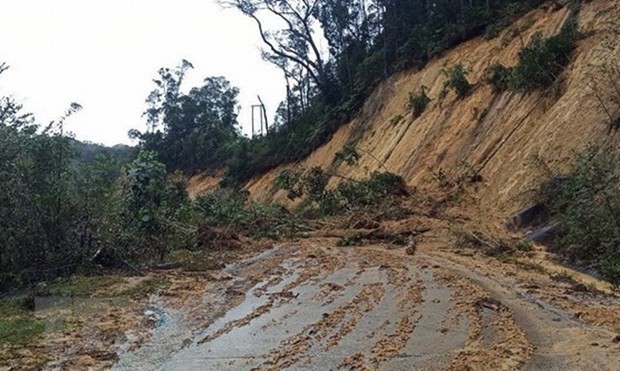 Vietnam localities brace for new storm - ảnh 1