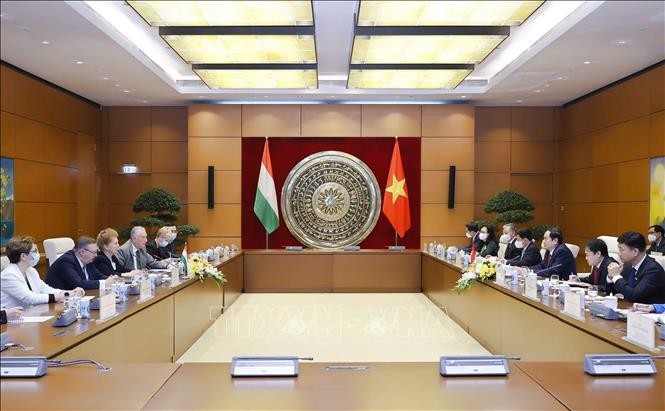 Vietnam, Hungary enhance parliamentary cooperation - ảnh 1