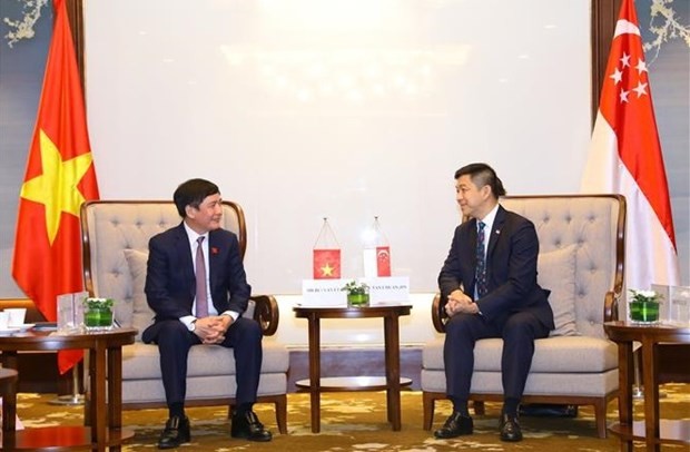 Vietnam, Singapore strengthen exchanges between parliamentarians - ảnh 1