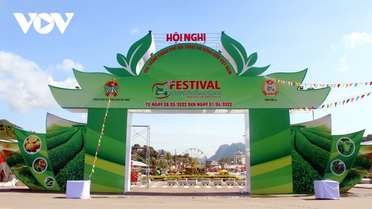 Son La ready for Vietnamese Fruit Festival 2022 - ảnh 1