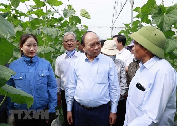 President presents gifts to senior citizens in Hai Duong - ảnh 1