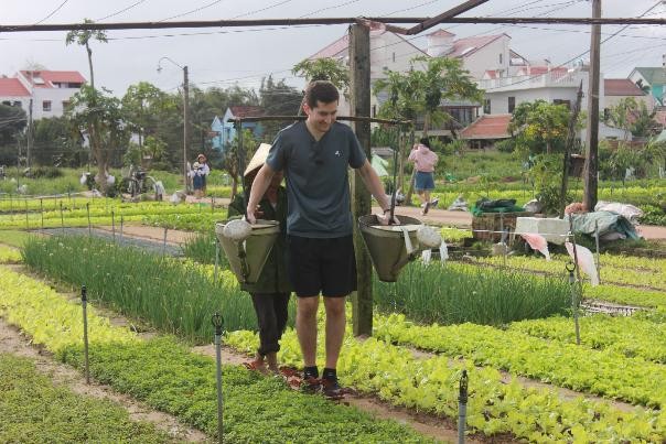 Quang Nam promotes green tourism - ảnh 1