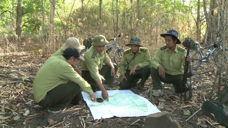 Quang Nam pilots forest carbon credit - ảnh 2