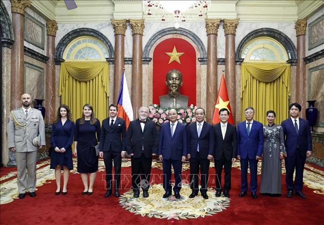 President receives Ambassadors of UK, Norway, Denmark, Czech Republic - ảnh 1