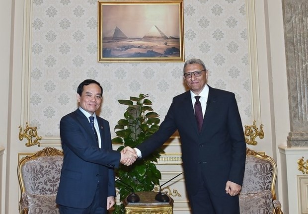 Vietnam wants to strengthen multifaceted cooperation with Egypt, says Deputy PM - ảnh 2