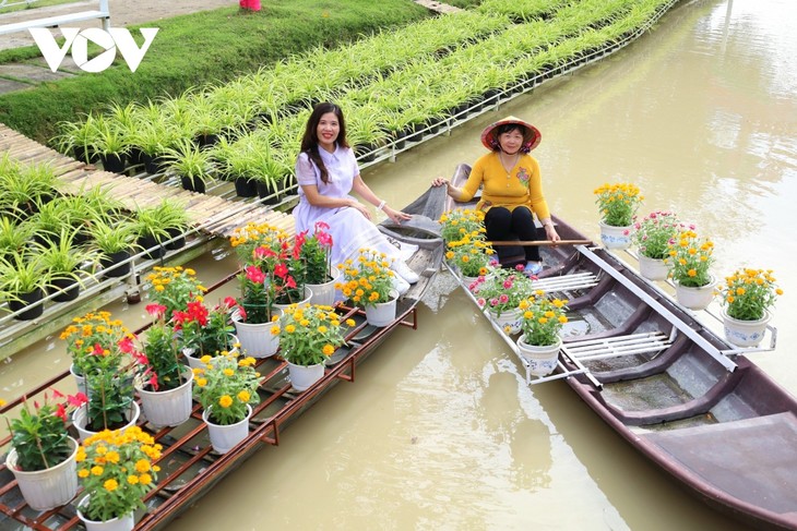 Sa Dec village ready for first-ever ornamental flower festival - ảnh 2