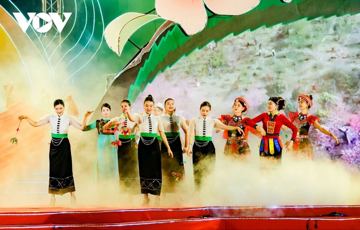 Cherry blossom festival spreads Dien Bien’s cultural identity - ảnh 1