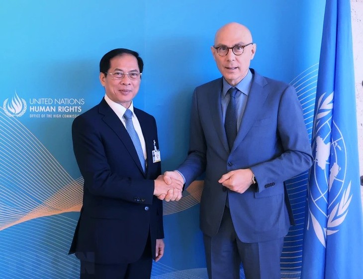 Vietnam commits to protecting human rights - ảnh 1