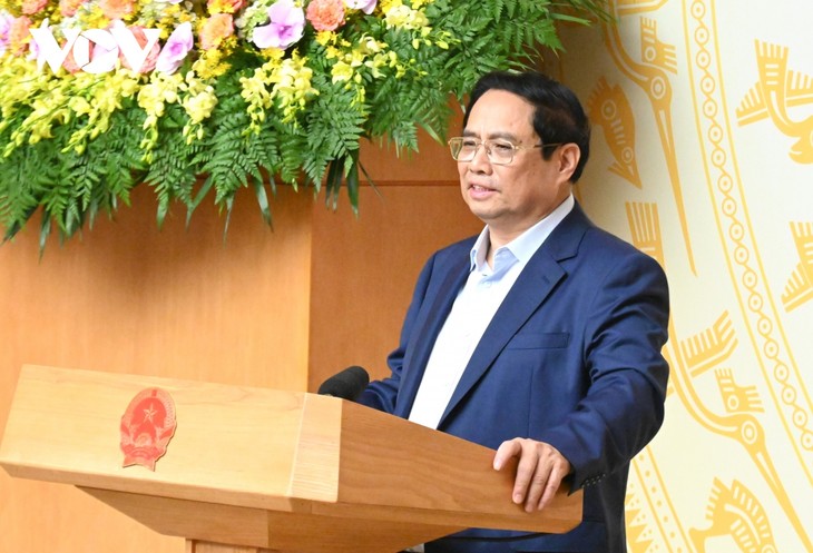 Preschool education reform must align with development trend: PM - ảnh 1