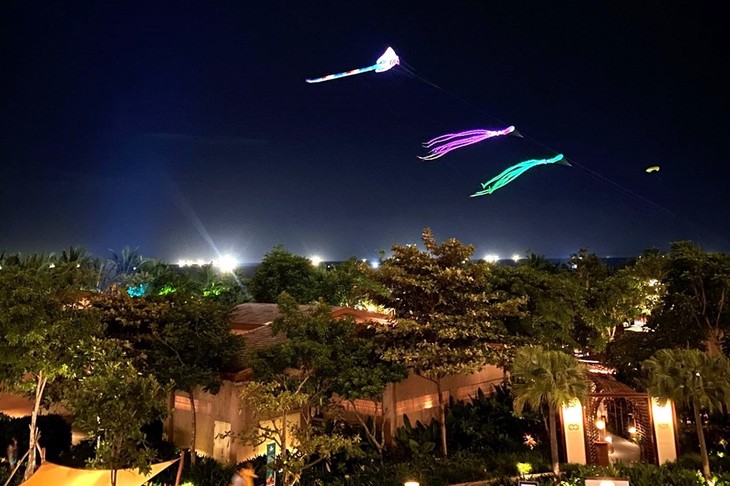 Quang Nam international kite festival 2024 attracts large crowds - ảnh 1