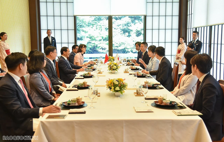 Vietnam-Japan Cooperation Committee convenes 12th session - ảnh 2