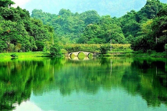 Vietnam’s Cuc Phuong honored as Asia’s Leading National Park 2024 - ảnh 1