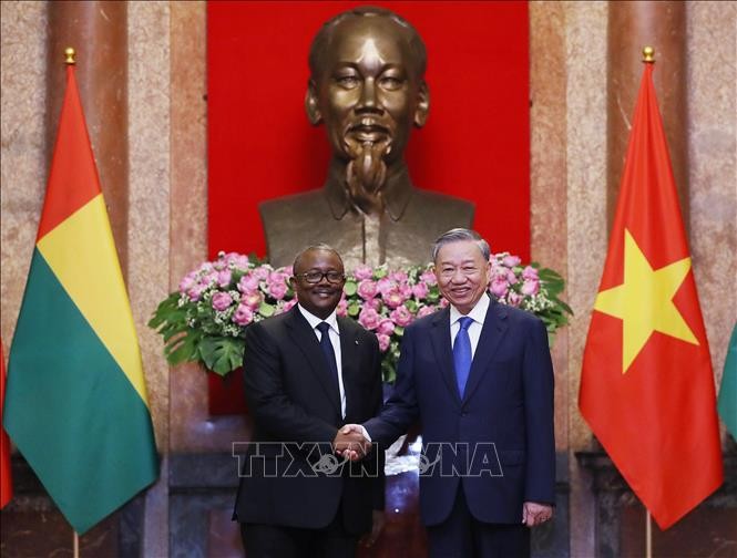 Guinea-Bissau President concludes official visit to Vietnam - ảnh 1