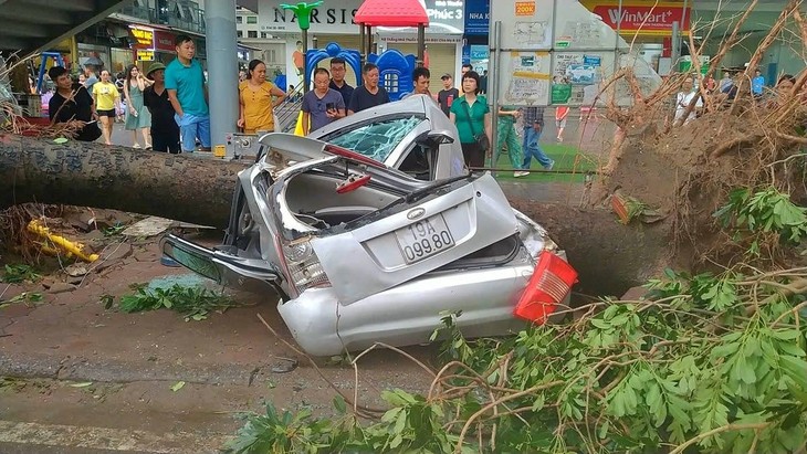 Typhoon Yagi causes nine deaths, urgent recovery efforts underway - ảnh 2