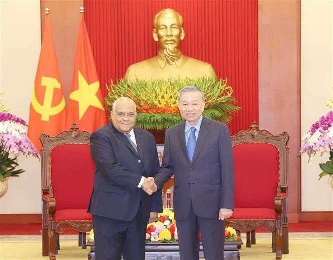 Vietnamese top leader receives Cuban ambassador - ảnh 1