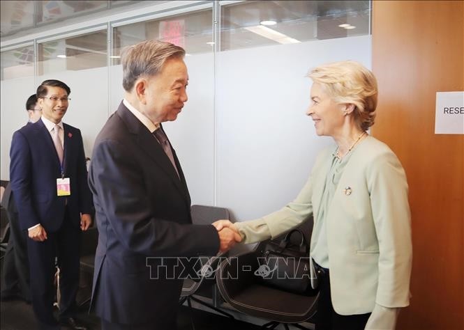 Vietnamese top leader meets with international organizations’ heads - ảnh 3