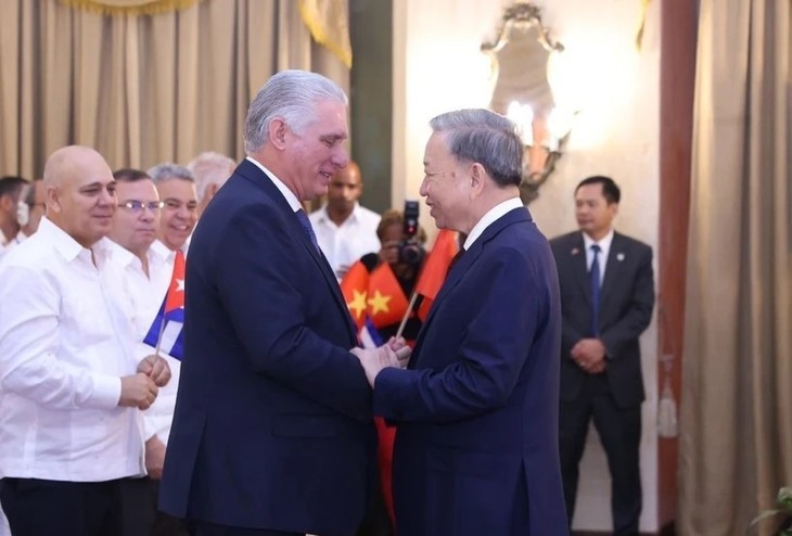 Vietnam, Cuba issue joint statement - ảnh 1