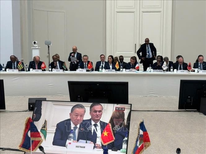 Vietnam suggests ways to promote multilateralism at Francophonie Summit - ảnh 1