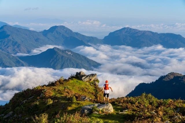 World Trail Majors welcomes Vietnam Mountain Marathon to global stage - ảnh 1