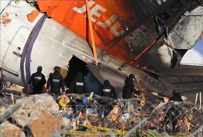 South Korea releases information about black box of crashed plane - ảnh 1