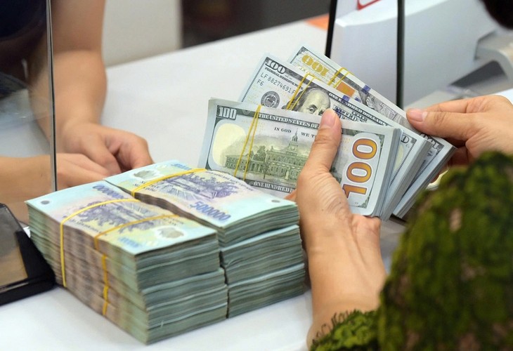 Remittances hit record high in 2024 - ảnh 1